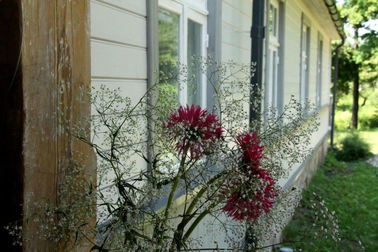 Meke Hotel Mustkalni Exterior photo
